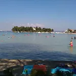 Podvrsina1a Rosa *