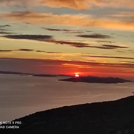Podvrsina1a Rosa
