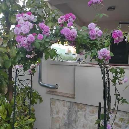 Podvrsina1a Rosa Casa vacanze *