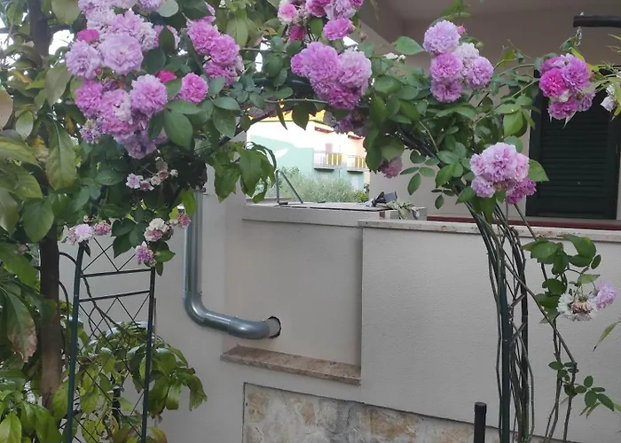 Podvrsina1a Rosa Tatil Evi *