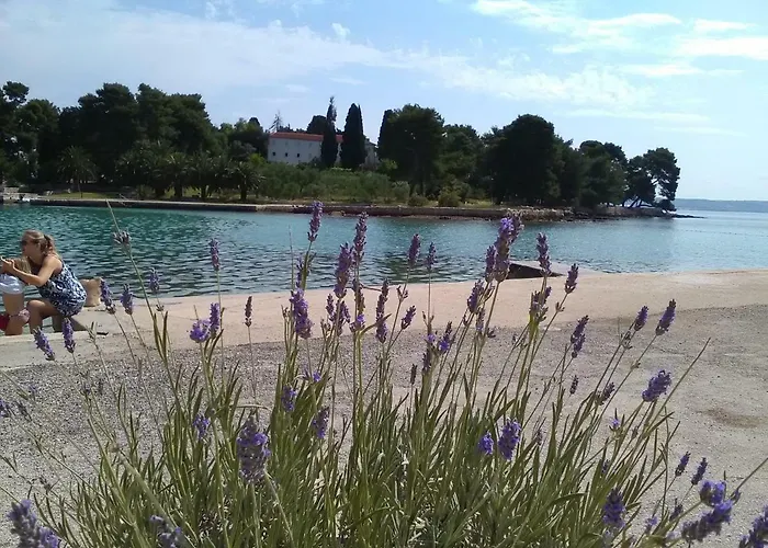 Podvrsina1a Rosa