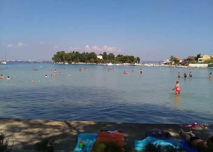 Podvrsina1a Rosa *