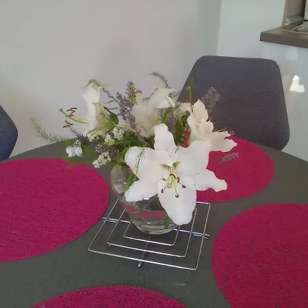 Podvrsina1a Rosa Casa de Férias Preko