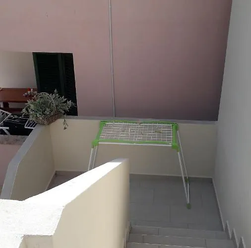 Podvrsina1a Rosa بريكو