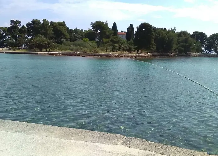 Podvrsina1a Rosa * بريكو