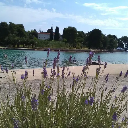 Podvrsina1a Rosa