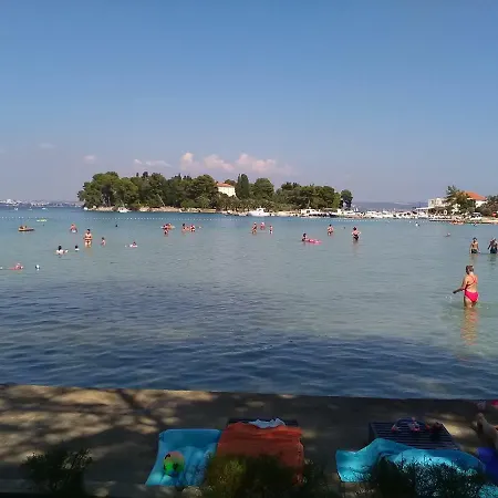 Podvrsina1a Rosa *