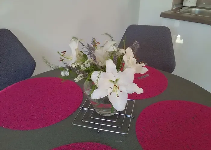 Podvrsina1a Rosa Holiday home Preko